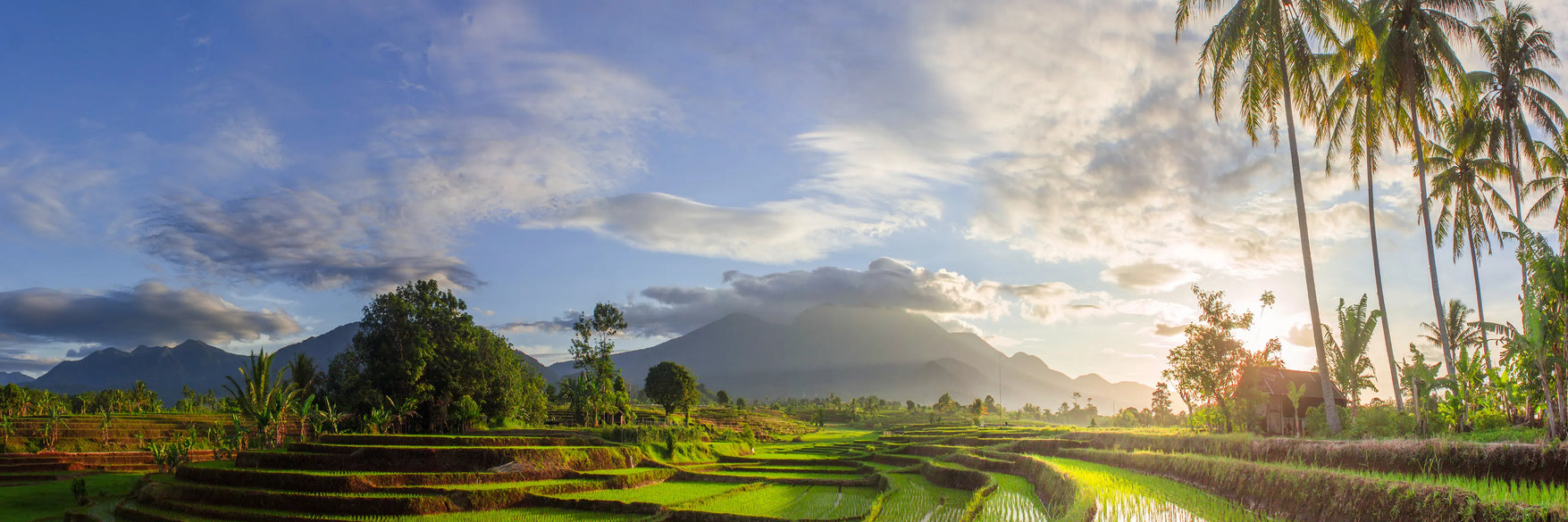 Indonesia