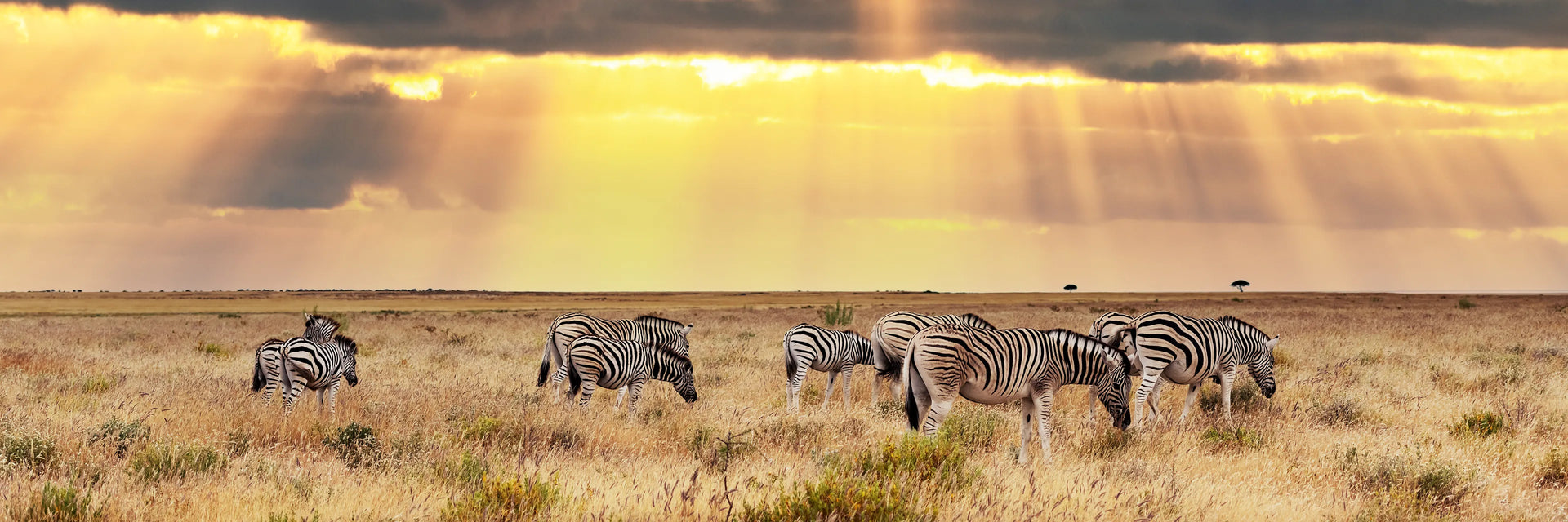 Kenya