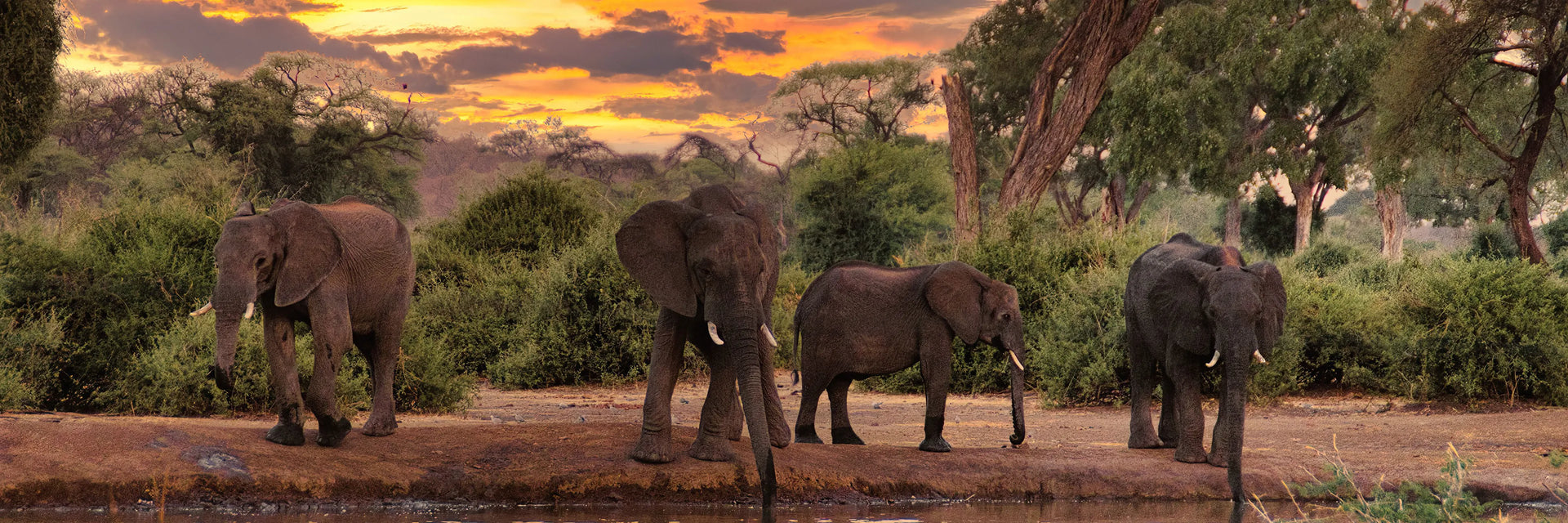 Zambia