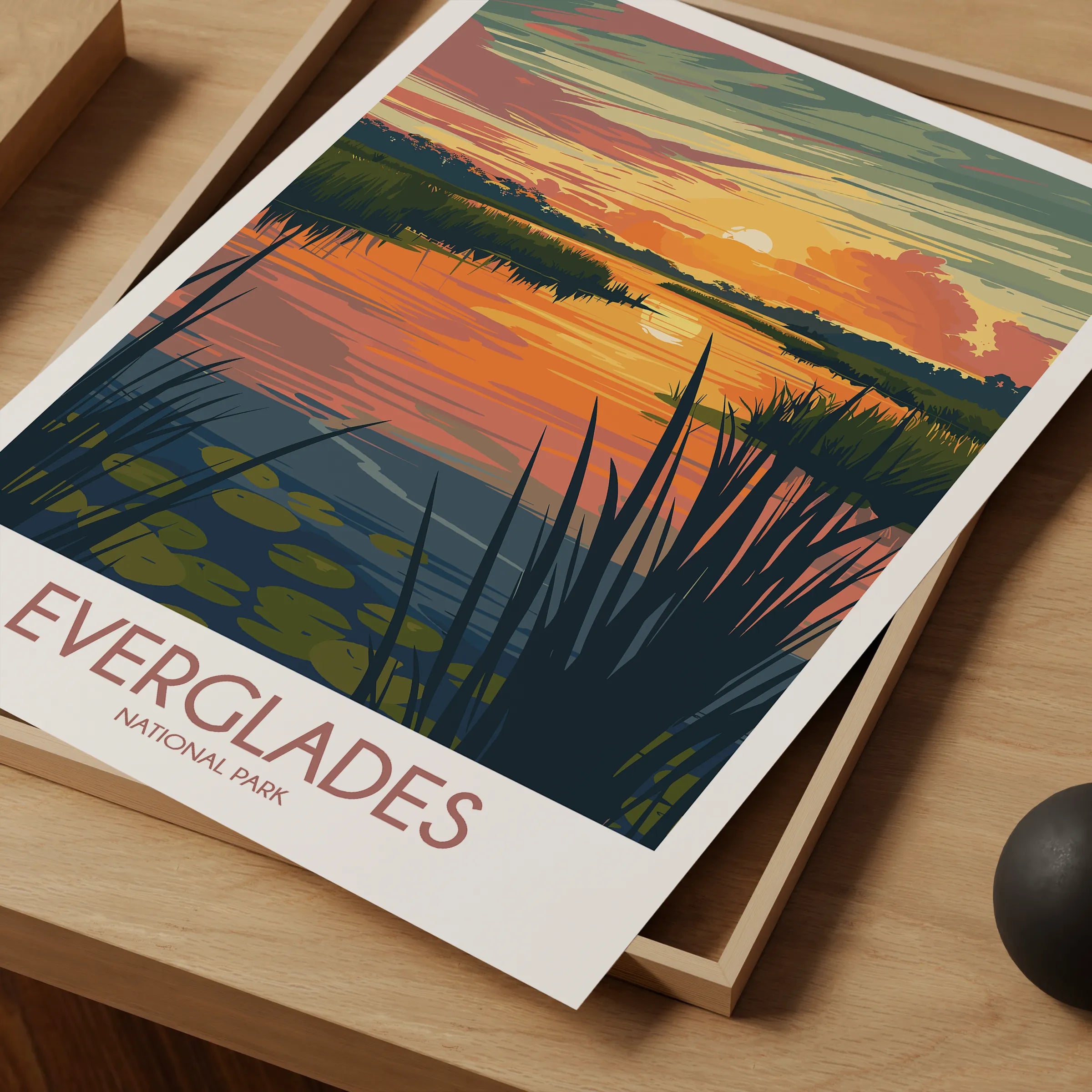Everglades Retro Travel Illustration