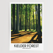 Kielder Forest Retro Travel Illustration