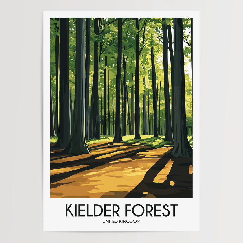 Kielder Forest Retro Travel Illustration