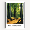 Kielder Forest Scenic Landscape Art