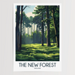 New Forest Gallery Quality Print