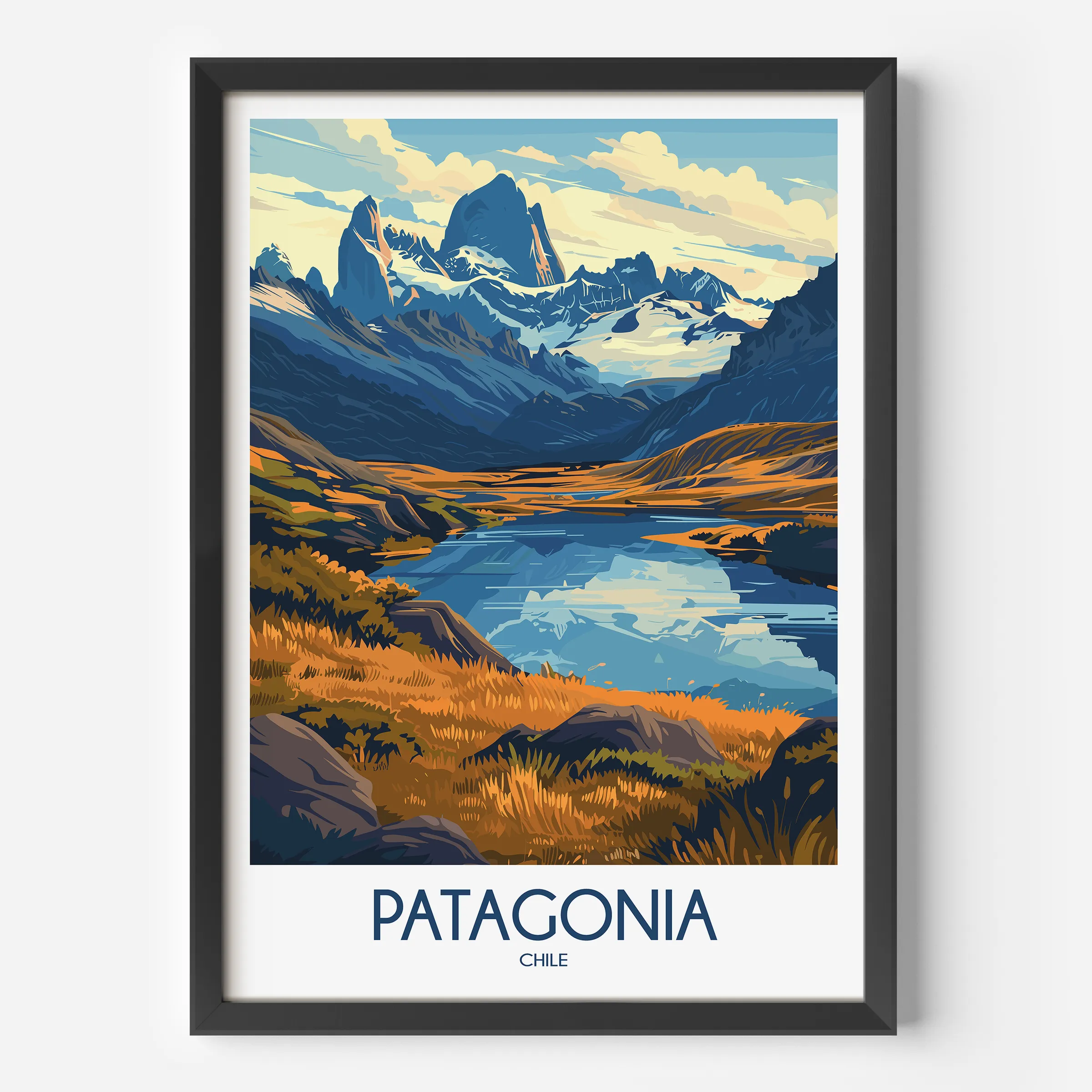 Patagonia Vintage Style Print