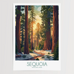 Sequoia Gallery Quality Print