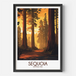 Sequoia Modern Travel Poster