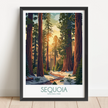 Sequoia Travel Memory Gift