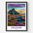 Shropshire Souvenir Poster Print