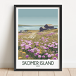 Skomer Island Minimalist Wall Art