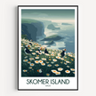 Skomer Island Modern Travel Poster