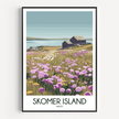 Skomer Island Retro Travel Illustration