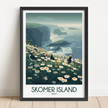Skomer Island Scenic Landscape Art